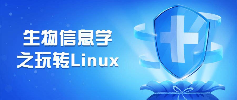 生物信息学之玩转Linux3793535147497883003.png