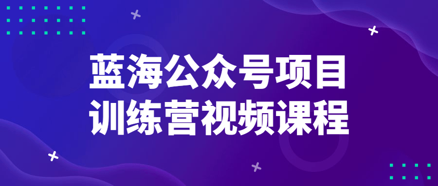 蓝海公众号项目训练营视频课程6816353161324805059.png